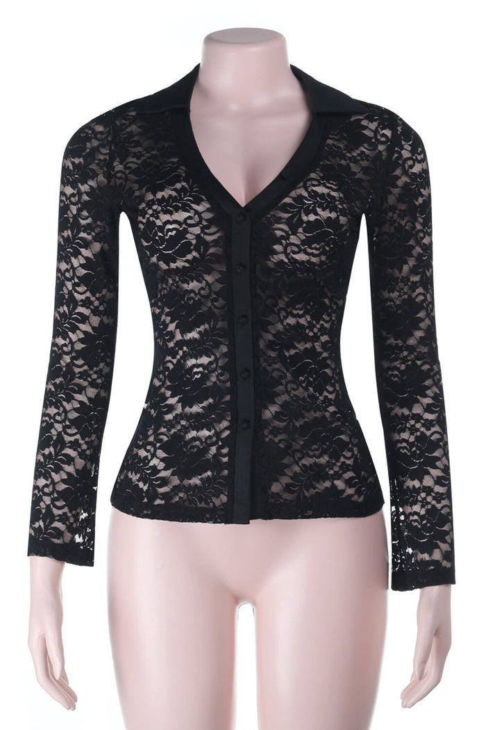 V Neckline Long Sleeve Jacquard Lace See Through Top-Black