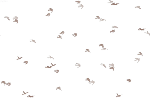 Birdflight Snowwhite Grey - Family Fabrics B.V.