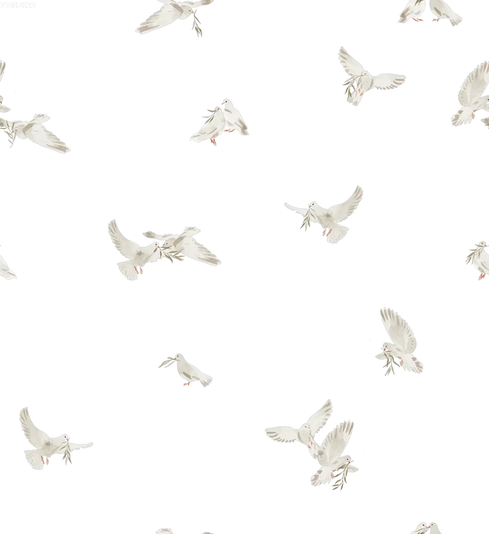 Doves - Family Fabrics B.V.
