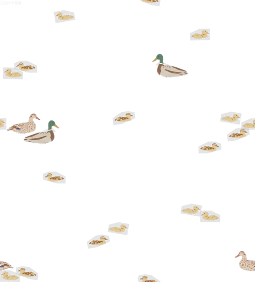 Ducks - Family Fabrics B.V.