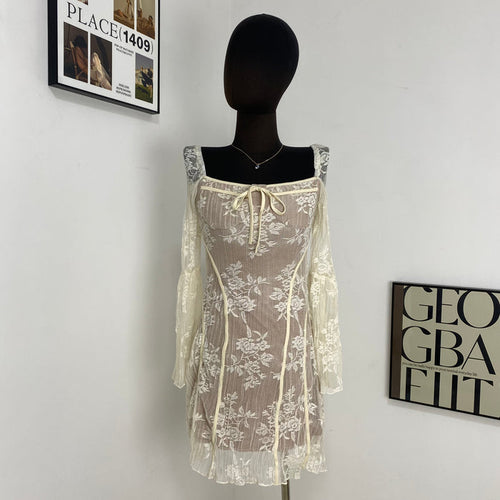 Fitted Lace Flared Dress