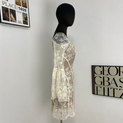 Fitted Lace Flared Dress