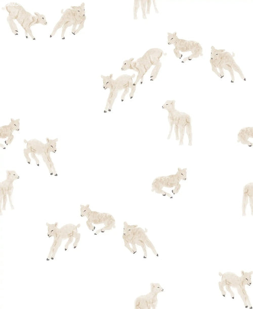 Little Lambs Off White - Family Fabrics B.V.