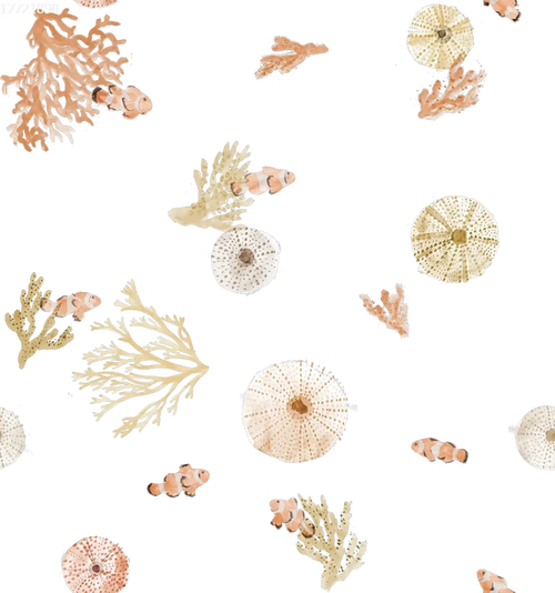 Sea Urchin - Family Fabrics B.V.