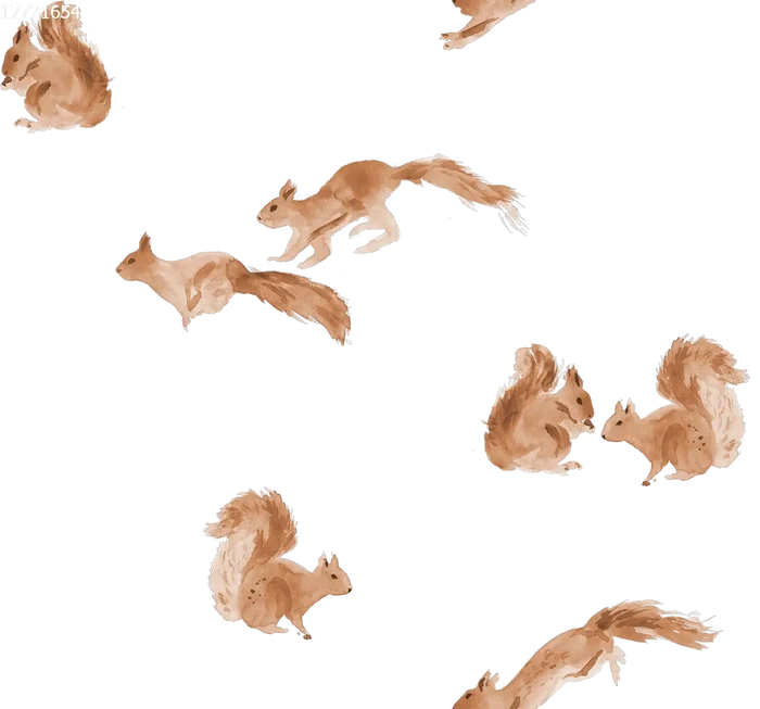 Squirrels Off White - Family Fabrics B.V.